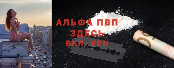 гашик Михайловск