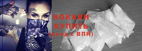 гашик Михайловск