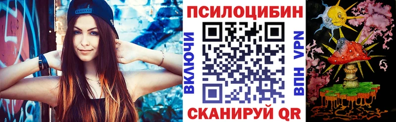 дарнет шоп  ссылка на мегу ссылки  Псилоцибиновые грибы GOLDEN TEACHER  Кандалакша 