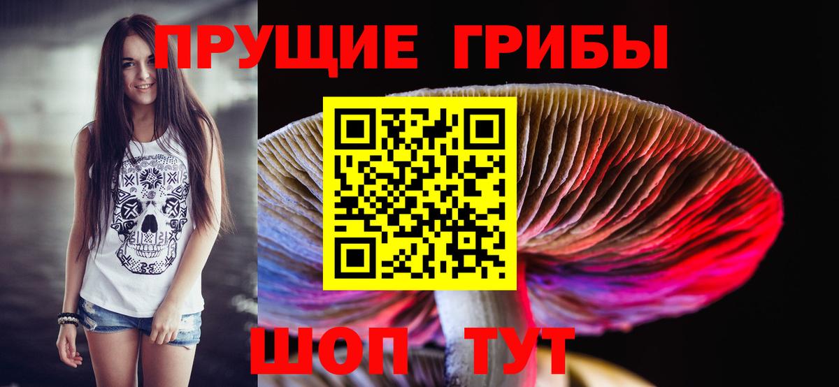 Галлюциногенные грибы Cubensis  Вход с VPN  Псилоцибиновые грибы прущие грибы  Кандалакша 