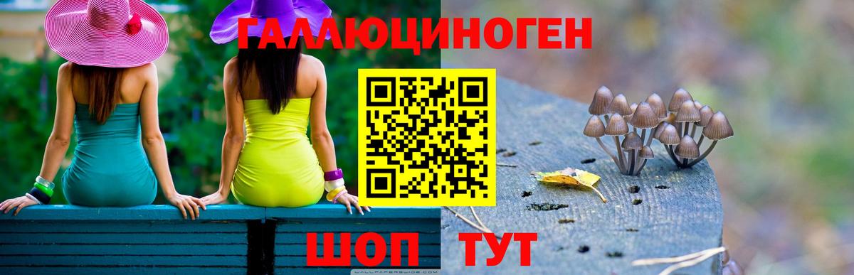 Псилоцибиновые грибы Кандалакша